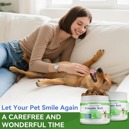 Probiotics for Dogs, Dog Probiotics for Gut Health, Digestive Support, Itchy Skin, Gas & Diarrhea Relief, Dog Probiotic with 6 Billion CFU Prebiotics & Digestive Enzymes, 100 Chews, Chicken Flavor