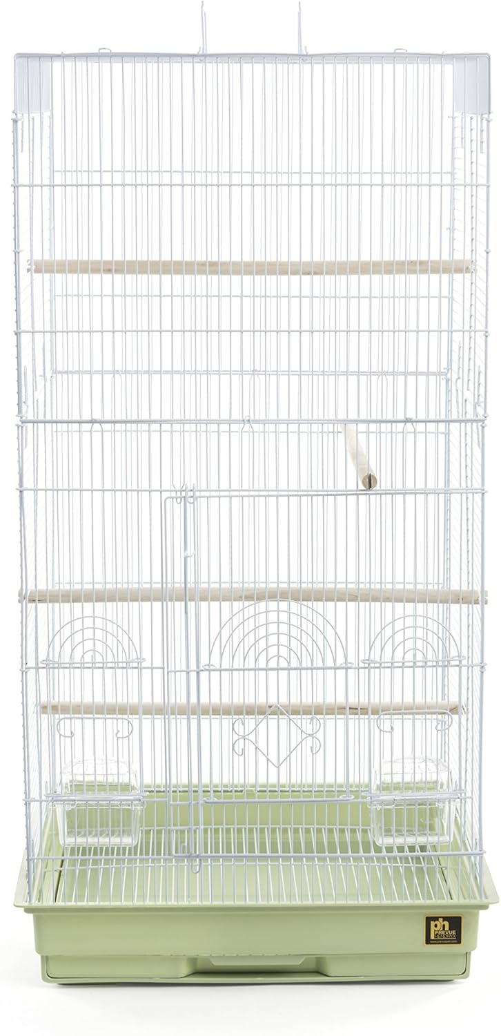 Prevue Pet Products SPECONO1818H-SG Tall Tiel Cage, Sage Green