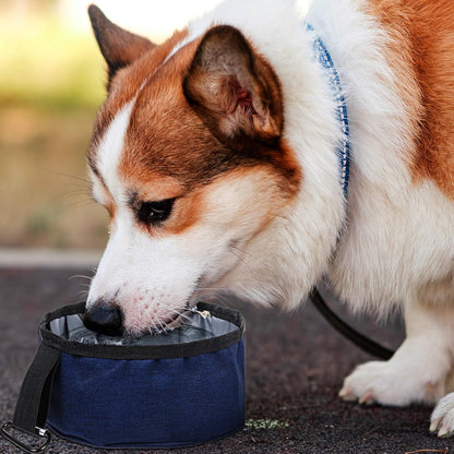 2 Pcs Foldable Portable Dog Bowls for Travel, 40 oz Water and Food Bowl for Dog, Puppy Waterproof Wear-Resistant Oxford Cloth