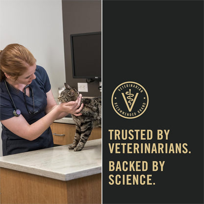 Purina Pro Plan Allergen Reducing, Sensitive Skin & Stomach, High Protein Cat Food, LIVECLEAR Turkey and Oatmeal Formula - 3.2 lb. Bag