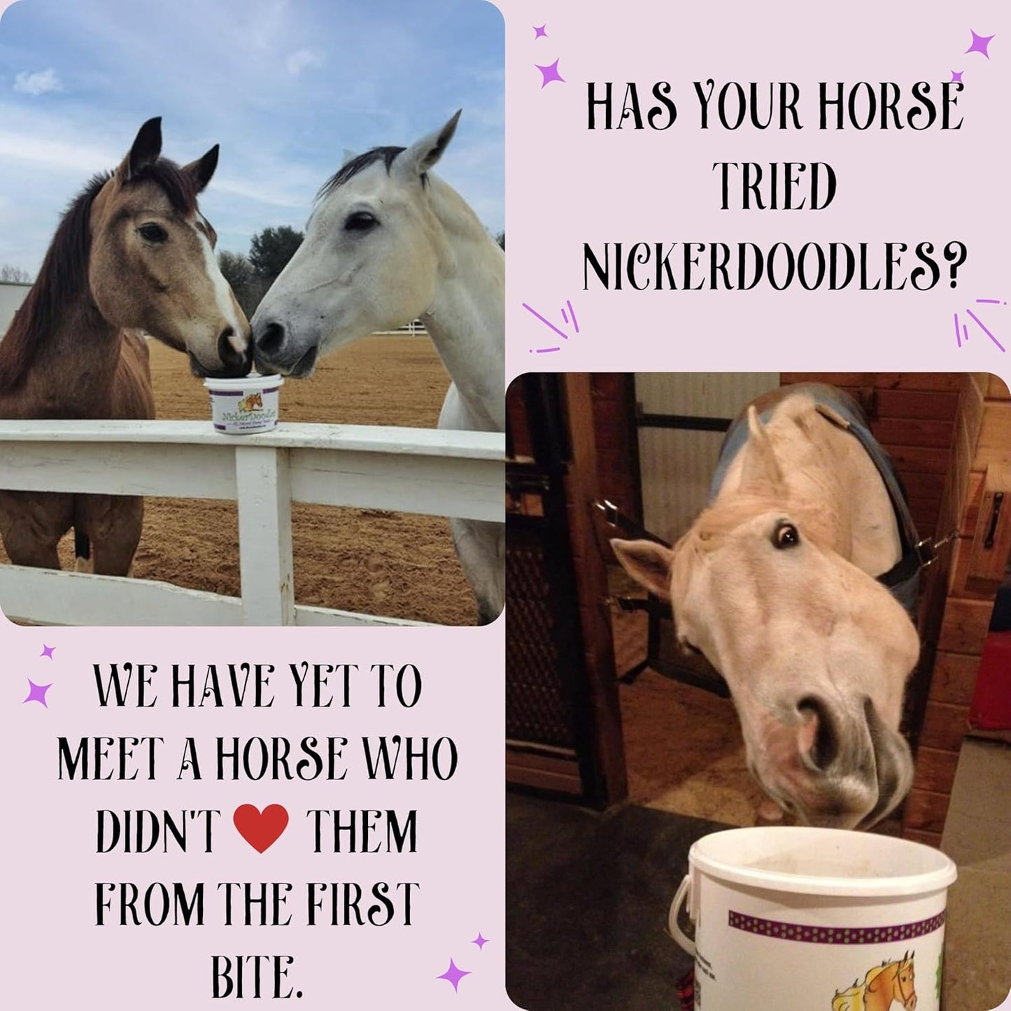 Horse Treats - 5 lb Pail - Effortlessly Give Medications with Our Soft Baked Treats - Training Treats are The Perfect Motivator - No Additives or Preservatives Handles May Vary