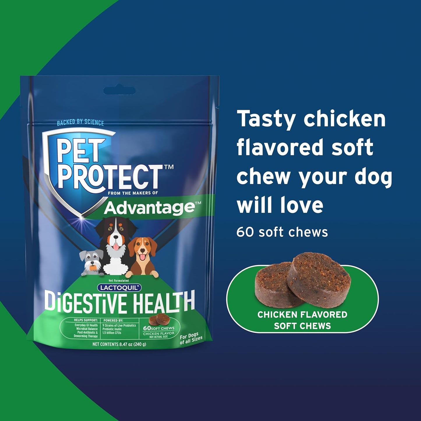 Pet Protect Digestive Health Supplement with Probiotics for Dogs, Vet-Formulated Lactoquil, Chicken-Flavored Soft Chews (60 Count)