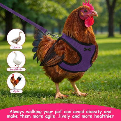 Upgraded Double Adjustable Mesh Breathable Chicken Training Harness, Chicken Harness with Leash Set, Pets Leash for 3-4 Lb Hens Duck Goose Small Pets Training Walking Supplies (4 Colors)