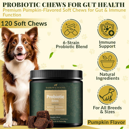 Barrow & Hound Probiotic Bites for Dogs – 6-Strain Probiotics & Pumpkin for Gut Health & Immune Support – 120 Soft Chews – Pumpkin Flavor