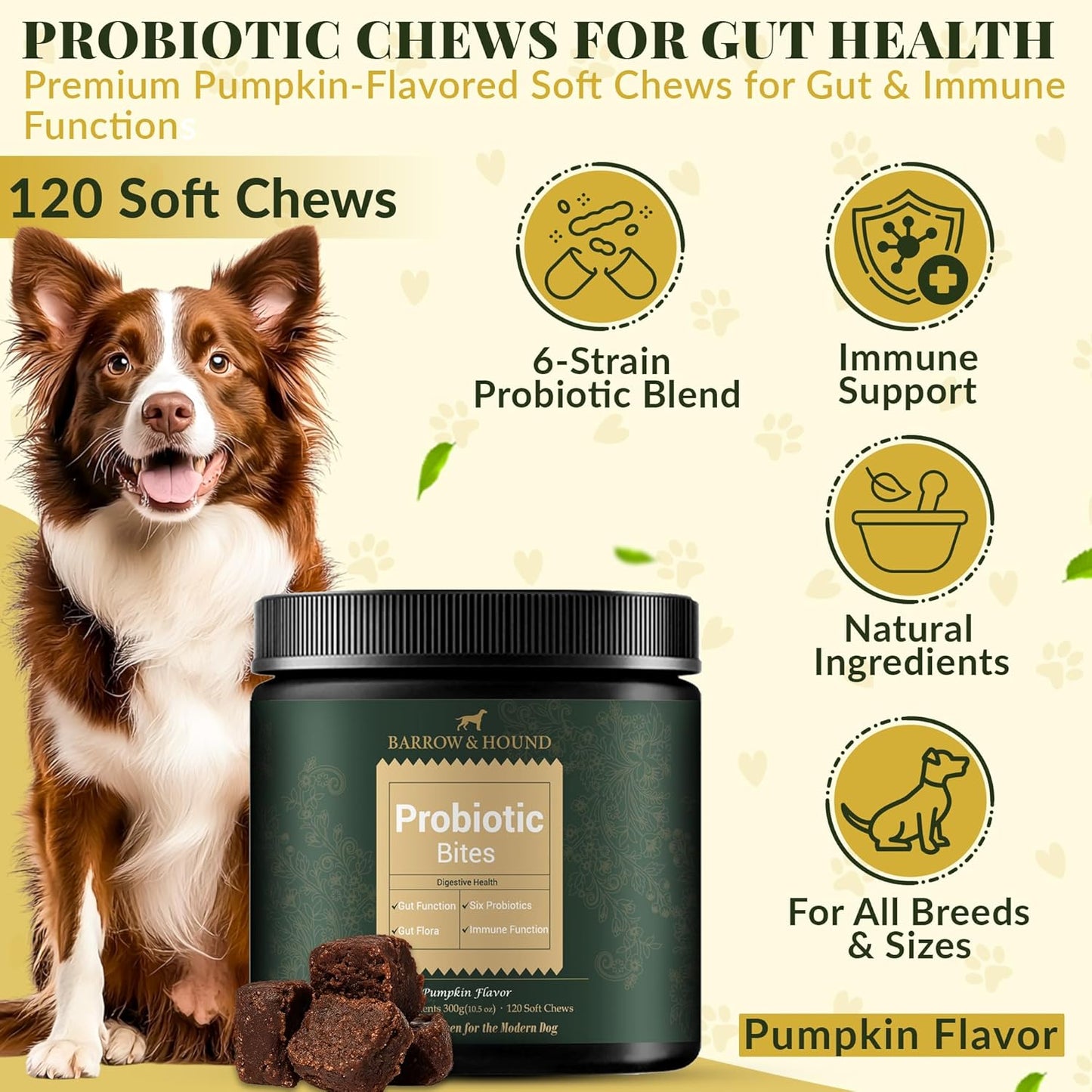 Barrow & Hound Probiotic Bites for Dogs – 6-Strain Probiotics & Pumpkin for Gut Health & Immune Support – 120 Soft Chews – Pumpkin Flavor
