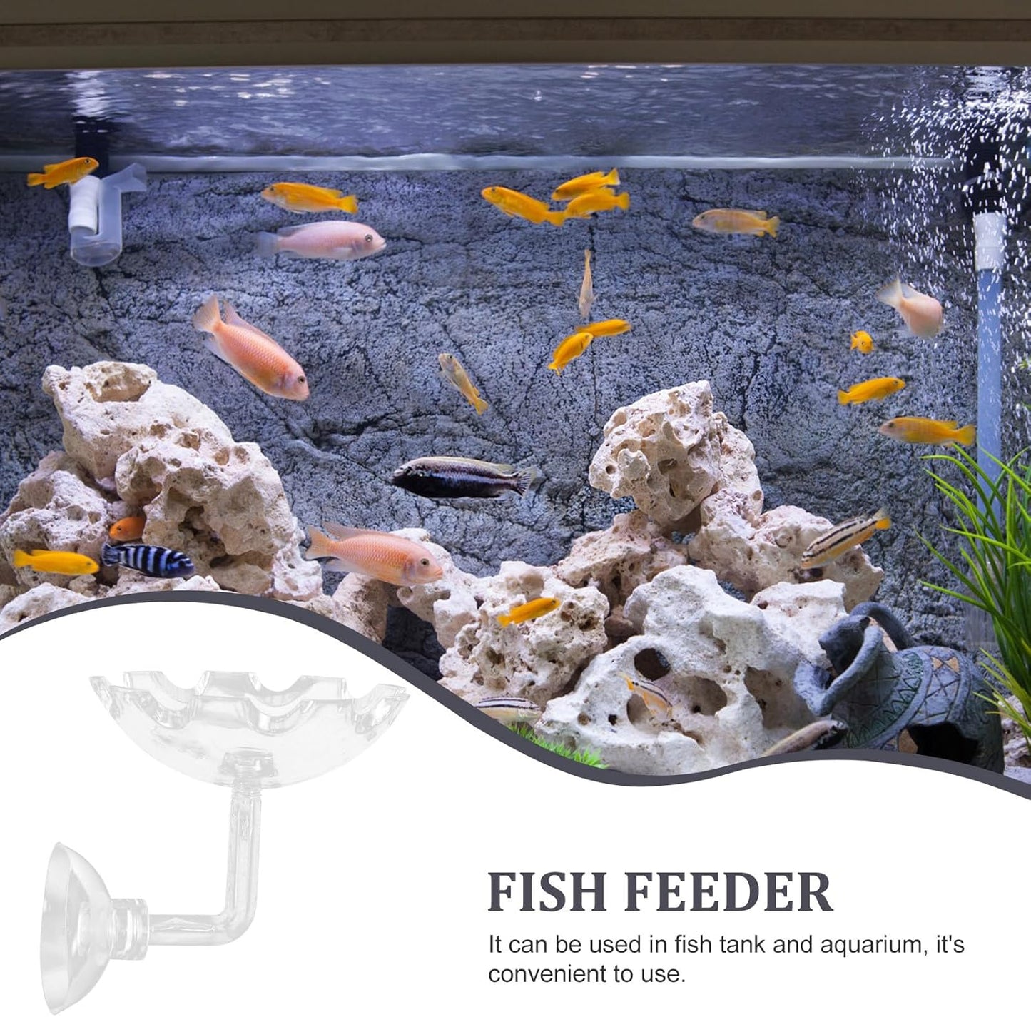 Shrimp Feeder Bowl with Sucker Fish Feeding Tray High Transparency Aquarium Feeding Dish Decorative Shrimp Food Basin for Fish Tank Aquatic Pets
