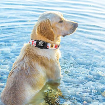 BINGPET AirTag Dog Collar,IP68 Waterproof Airtag Holder,Ultra-Durable Cute Flower Dog Collar with Padded for Tracker,Adjustable Heavy Duty Dog Collar for Small Medium Large Dogs(M(15"-19"),White)