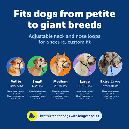 PetSafe Gentle Leader Headcollar No-Pull Dog Collar - Helps Improve Walks - Durable Nylon Construction - Padded Nose Loop - Adjustable Fit - Comfort Walking Halter - Medium, Black