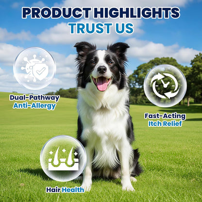 Dog Allergy Chews for Itchy Skin Relief and Immune Support,500PCs Probiotic and Antioxidant Formula for Dogs,Helps Repair Skin Barrier Function,Allergy Relief Chewable Tablets for Dogs