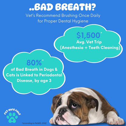 All-in-1 Dog Teeth Cleaning Wipes | Enzymatic Whitening + Micro Scrubbing Beads | Pet Dental Wipes & Finger Tooth Brushing Kit | Plant-Based Dental Care for Cats & Dogs (60 Count)