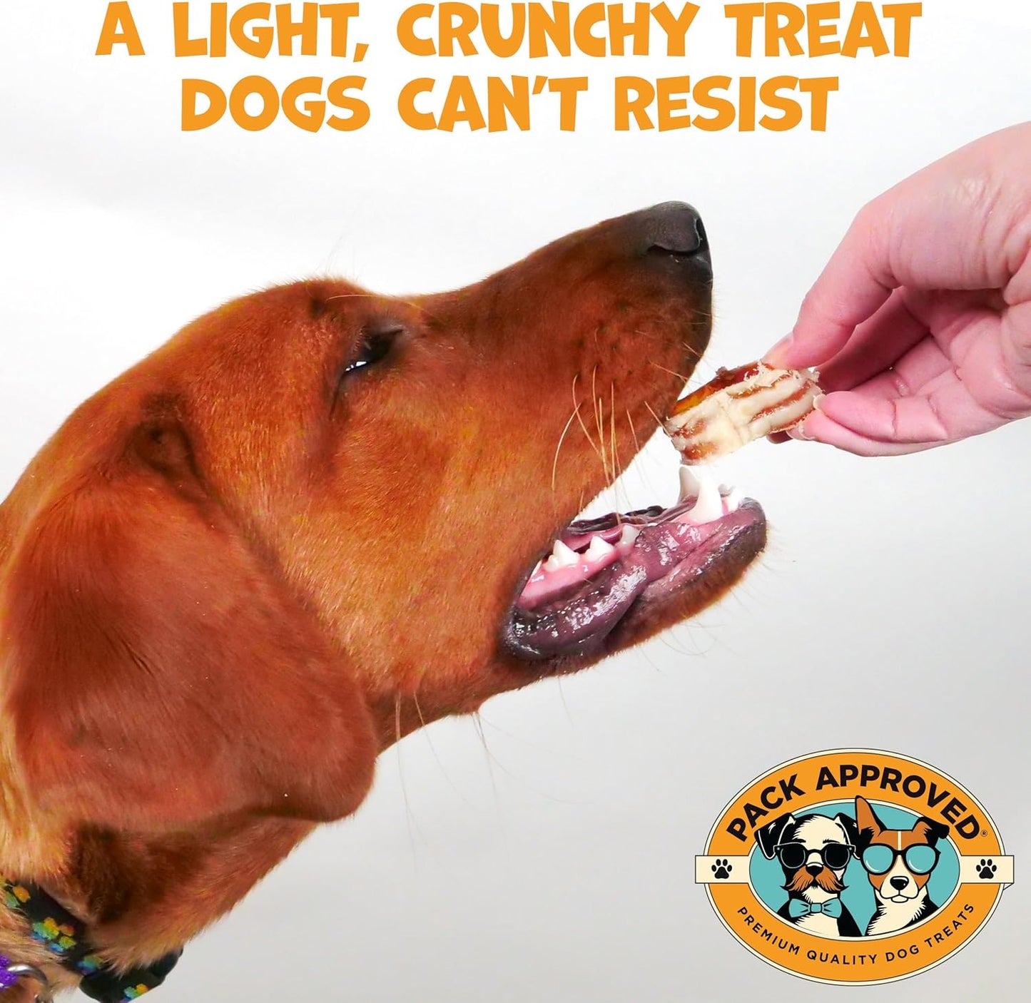 Dog Treats Nutrient Rich Bundle - Chicken Chips, Beef Trachea Smoke Rings, & Beef Heart