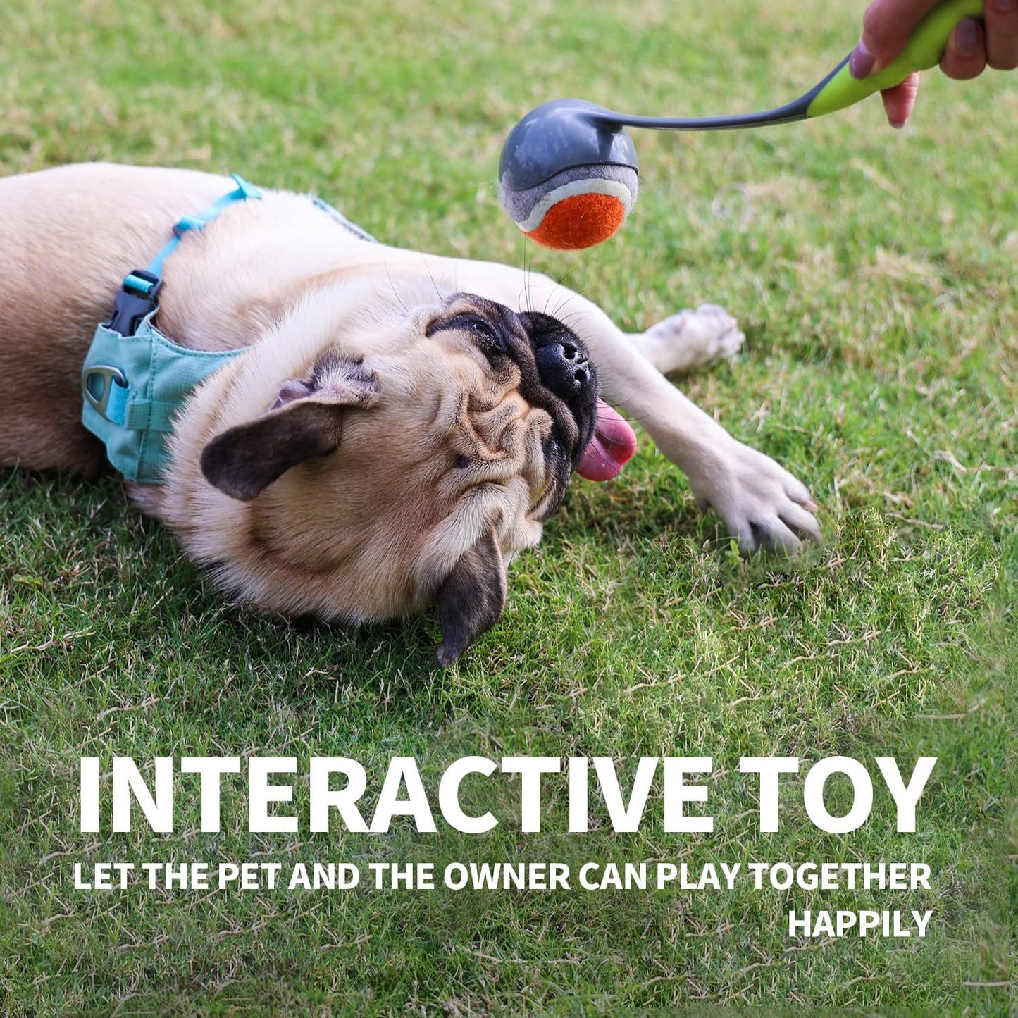 PAWISE Dog Ball Launcher for Small & Medium Dogs, 12.2" Dogs Fetch Toy with 2.3" Tennis Balll, Portable Dog Tennis Ball Thrower for Indoor & Outdoor Play, Lightweight, Durable & Hands-Free Pick-Up