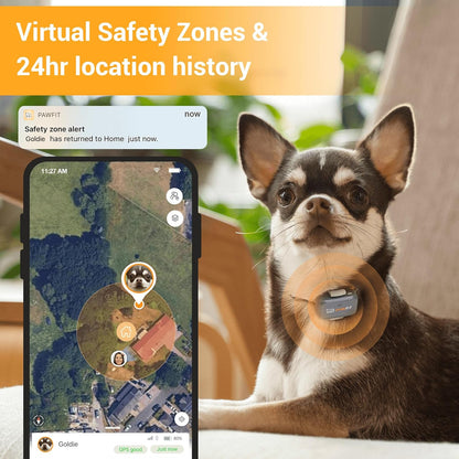 Pawfit Lite for Small Dogs 4g GPS Tracker | Real Time Tracking | Activity Monitoring |Location History | Unlimited Range | Lilac Grey