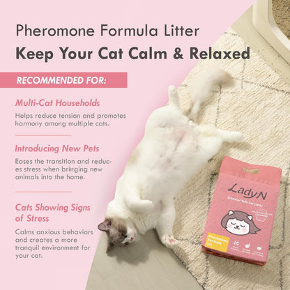 New Cat Home Set – Attractant Granular Tofu Cat Litter 9lb (Mini-Pellet) & Non-Stick Spray for Automatic Boxes | Strong Clumping, Low Dust, Easy Cleanup