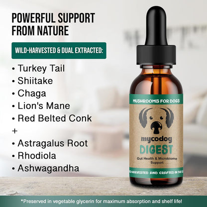 MycoDog Digest - Digestive Support Supplement for Dogs - Gut Health & Microbiome Balance - Probiotic Alternative with Functional Mushrooms and Adaptogens