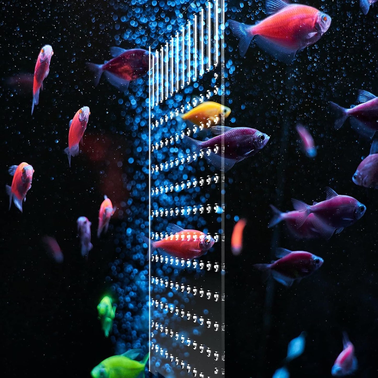 Acrylic Fish Tank Divider Aquarium Divider with 8 Suction Cups Transparent Fish Tank Separator Dividing Net Plate Isolation Board Flapper, 9.84 * 11.81inch