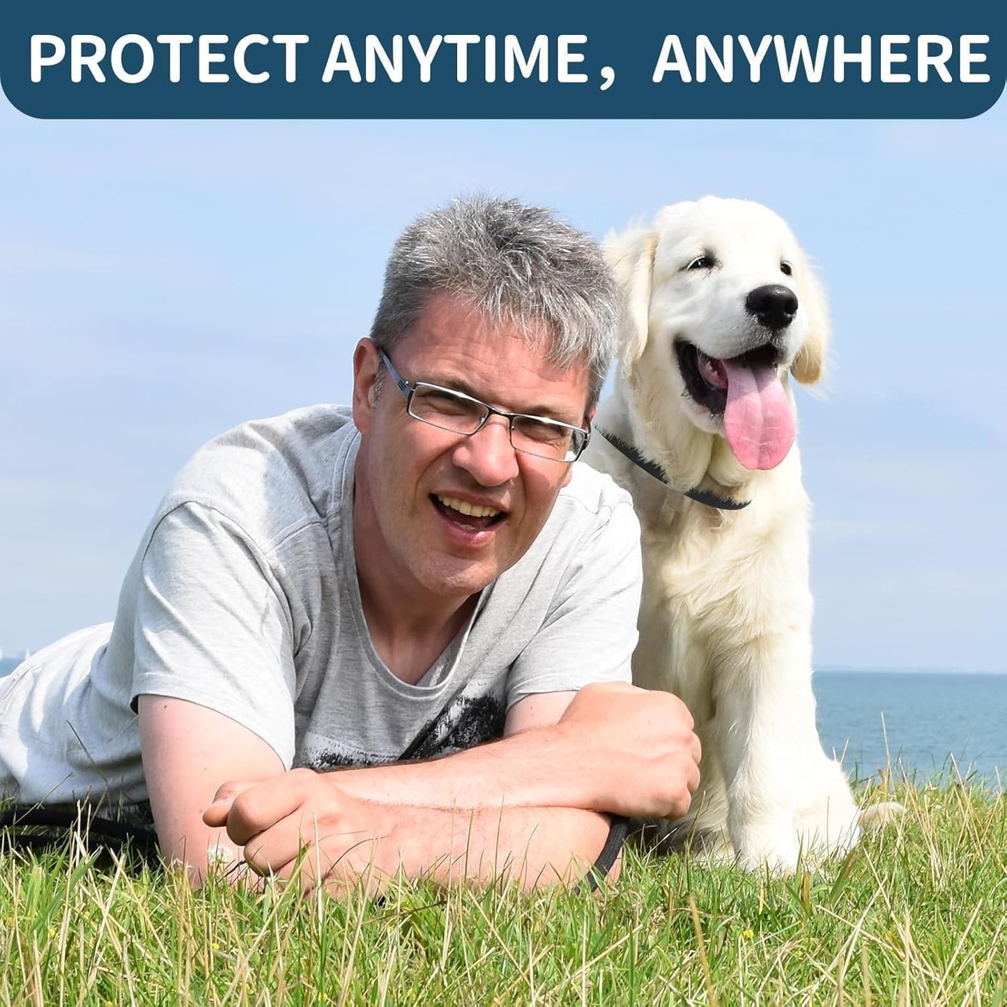 Flea and Tick Collar for Dogs 4 Pack, 32 Months Prevention, Waterproof, Adjustable for Small Medium Large Dogs Puppies (Black)