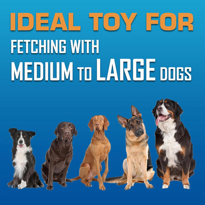 Nerf Dog Tire Flyer Outdoor Dog Toy, 10 Inch Flying Disc Dog Fetch Toy, Rubber Dog Toy for Medium Dogs and Large Dogs, Blue (Pack of 2)