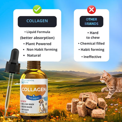 Liquid Collagen for Dogs and Cats, Skin & Coat Supplement, Itch Relief, Joint & Mobility Support, Enriched with Grass-Fed Collagen, MSM, Biotin & Ginger, Daily All-in-One Pet Health Formula
