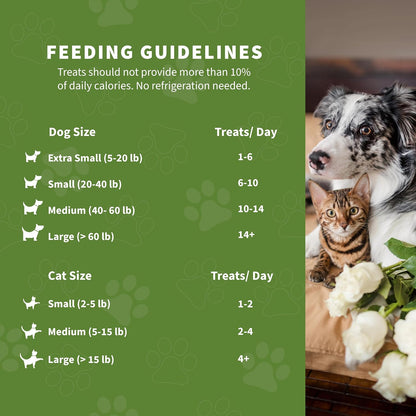 McLovin's Pet Freeze Dried Raw Beef Liver Dog Treats and Toppers, 14 oz. - Single Ingredient, Grain-Free, Gluten-Free, High-Protein Treat – Healthy Dog Training Treats