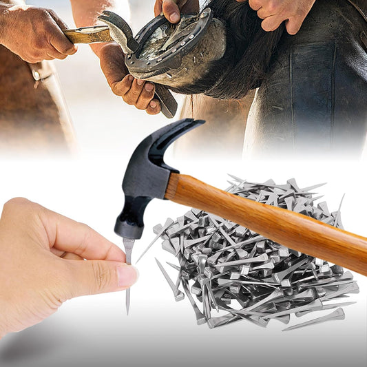 250pcs E5 Horseshoe Nails 2 Inch Stainless Steel Horseshoe Nails Nails Horse Hoof Nails Horseshoe Tools for Stained Glass,Horse Training Equestrian Sports