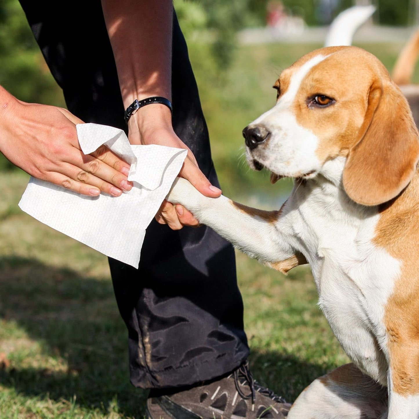 PrimePets Dog Wipes, 400 Count, Extra Thick Pet Wipes for Dogs Cats Cleaning Deodorizing, Lavender Scented Dog Wipes for Paws, Butt, Ears, Eyes, Butt, Face and Body