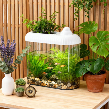 2.5 Gallon Plastic Aquaponic Fish Tank Large Bowl Shatterproof with Clear Clarity for Terrarium, Flower Vase Centerpiece GIF