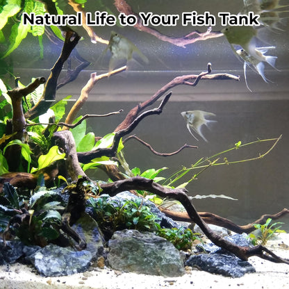 Aquarium Rocks & Driftwood Decor Kit, 2-8 Inches Natural Seiryu Stone 4 PCS for Aquascaping, 6-10 Inches Natural Driftwood 2 PCS for Fish Tank Decoration, Reptile and Amphibian Enclosures