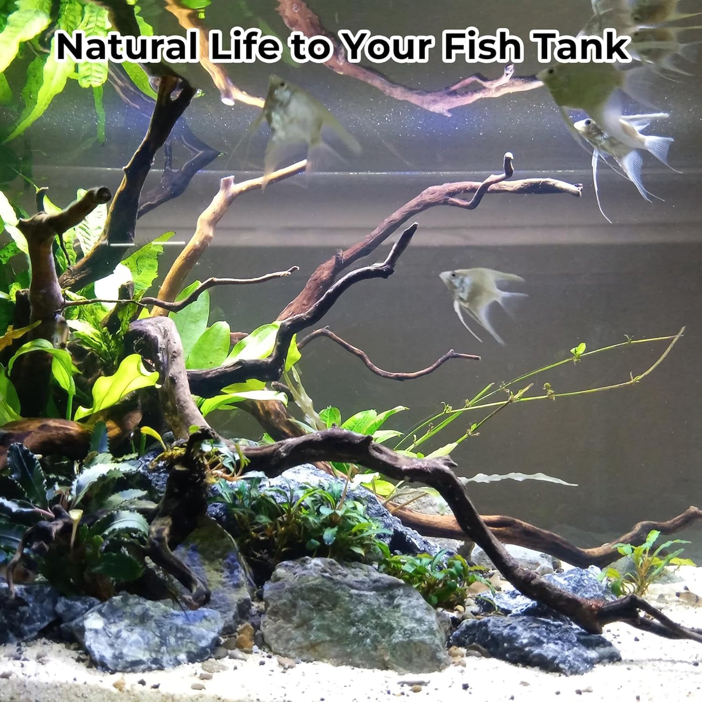 Aquarium Rocks & Driftwood Decor Kit, 2-8 Inches Natural Seiryu Stone 4 PCS for Aquascaping, 6-10 Inches Natural Driftwood 2 PCS for Fish Tank Decoration, Reptile and Amphibian Enclosures