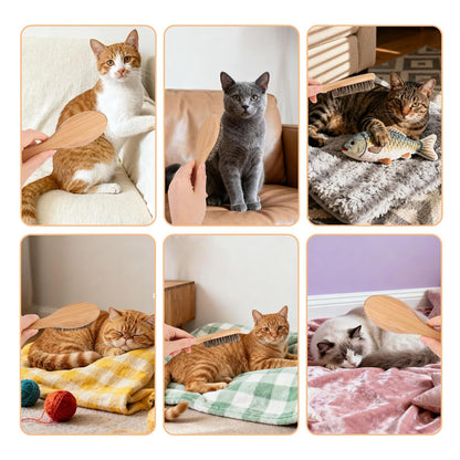 Soft Bristle Dog Cat Brush for Shedding, Boar Bristle Pet Grooming Brush with Wood Handle Gentle Massage Tool for Short Long Haired Dogs Cats Kittens Grooming Supplies