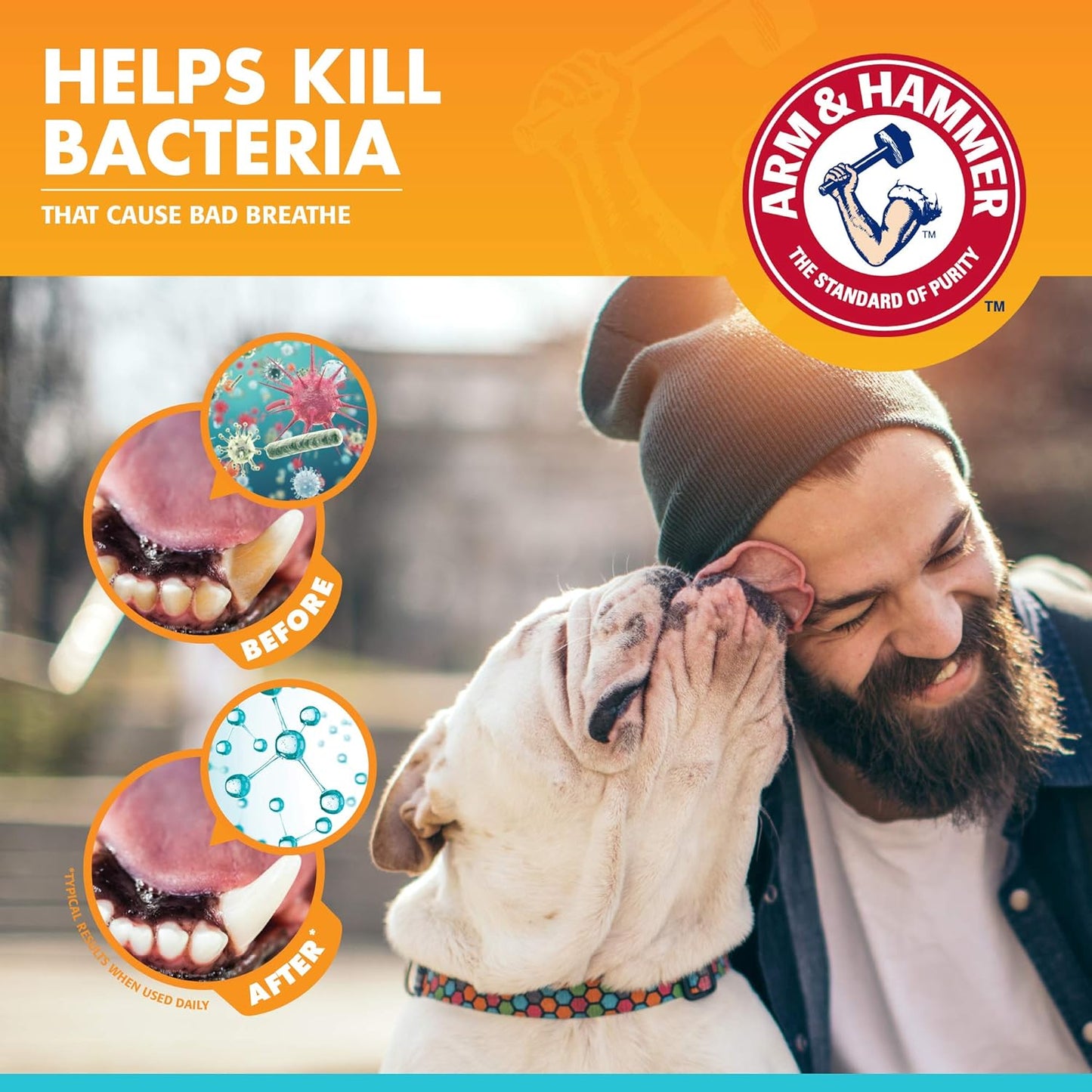 Arm & Hammer for Pets Clinical Care Dental Enzymatic Toothpaste for Dogs Soothes Inflamed Gums Safe for Puppies 1 Pack Fresh Breath Vanilla Ginger (Pack of 1)