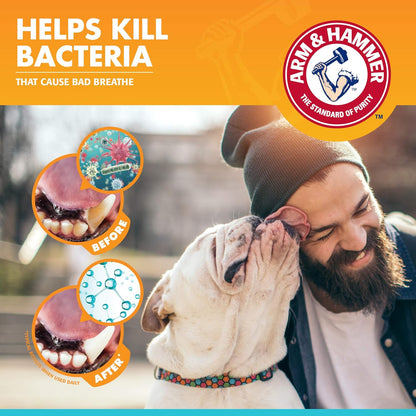 Arm & Hammer for Pets Clinical Care Dental Enzymatic Toothpaste for Dogs Soothes Inflamed Gums Safe for Puppies 1 Pack Fresh Breath Vanilla Ginger (Pack of 1)