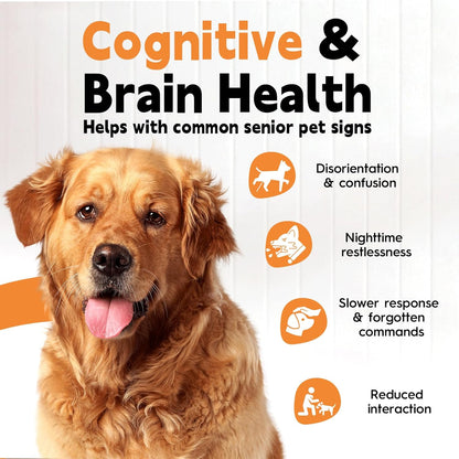 Pet Ginkgo Biloba Extract -Heart & Vascular Supplements for Senior & Overweight Dogs & Cats: Cardiovascular Health, Healthy Blood Pressure & Cholesterol Levels, Brain, Memory, Cognition