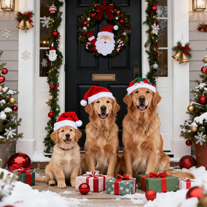 ChunHee Dog Door Bell for Potty Training – Wireless Doggie Doorbell to Go Outside, 1.6in Touch Surface, Easy for Puppy & Adult Dogs, IP55 Waterproof, 500FT Range, 55 Ringtones, Adjustable Volume