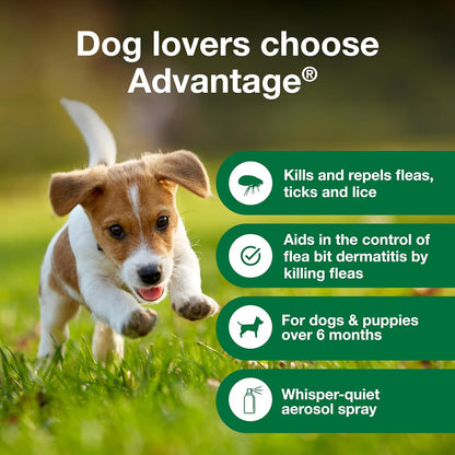 Advantage Dog Flea Treatment Spray | Kills Fleas & Ticks | Dog Flea Spray | 8 oz.