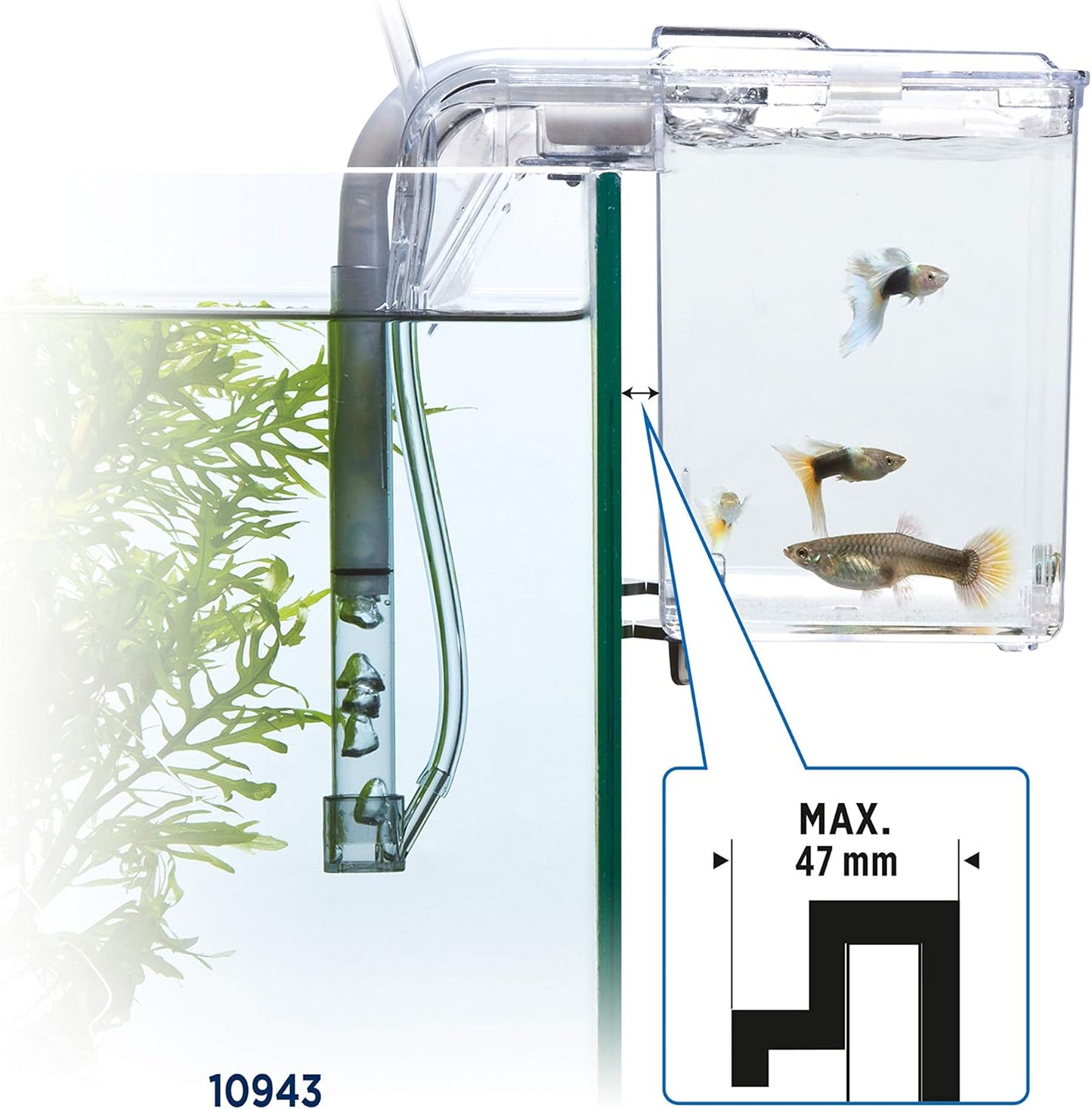 Fluval Multi-Chamber Holding and Breeding Box, Large – Up To 3 Separate Housing Compartments