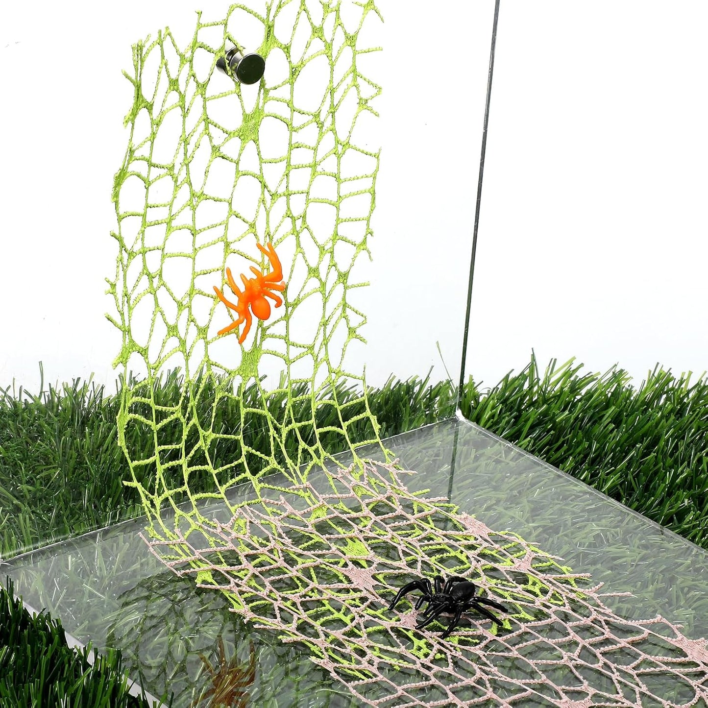 6Pcs Jumping Spider Habitat Accessories Enclosure Decor Spider Webbed Moss Ribbon with Magnets Climbing and Feeding Platforms Kit Green Brown