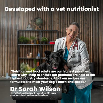 The Pets Table Chicken & Sweet Potato Air Dried Dog Food, 1 lb / 16 oz Bag