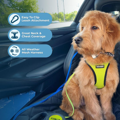 Voyager Step-in Air Dog Harness - All Weather Mesh Step in Vest Harness for Small and Medium Dogs by Best Pet Supplies - Lime Green Base, XXS