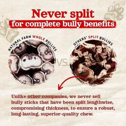 Natural Farm Odor-Free Bully Sticks (6 Inch, 25 count),1.3 lb. Bag, Fully Digestible 100% Beef Pizzle Chews,Grass-Fed, Non-GMO,Grain-Free, Natural Long-Lasting Chews for Small & Large Dogs. Pack of 25