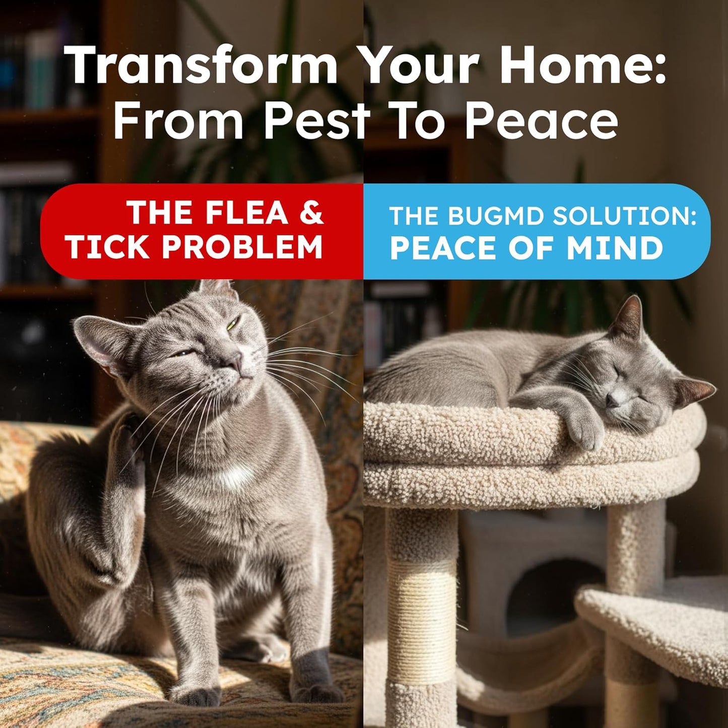 BugMD Pet Safe Flea Spray for Cats & Home | Natural Indoor Flea Killer & Tick Prevention | Plant-Based Flea Treatment for Carpet, Furniture & Cat Trees with Essential Oils