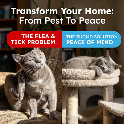 BugMD Pet Safe Flea Spray for Cats & Home | Natural Indoor Flea Killer & Tick Prevention | Plant-Based Flea Treatment for Carpet, Furniture & Cat Trees with Essential Oils