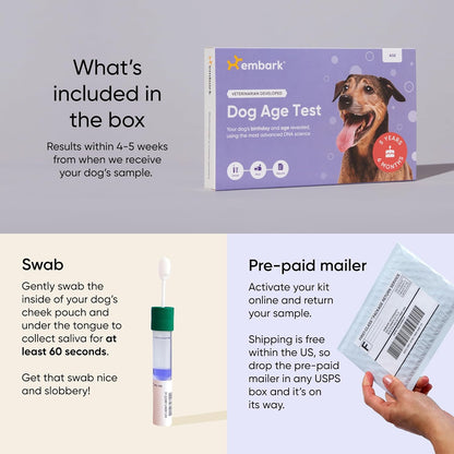 Embark Breed + Health Dog DNA Test & Dog Age Test Bundle - Discover Breed, Ancestry, Relatives, Genetic Health, Traits, and Birthday