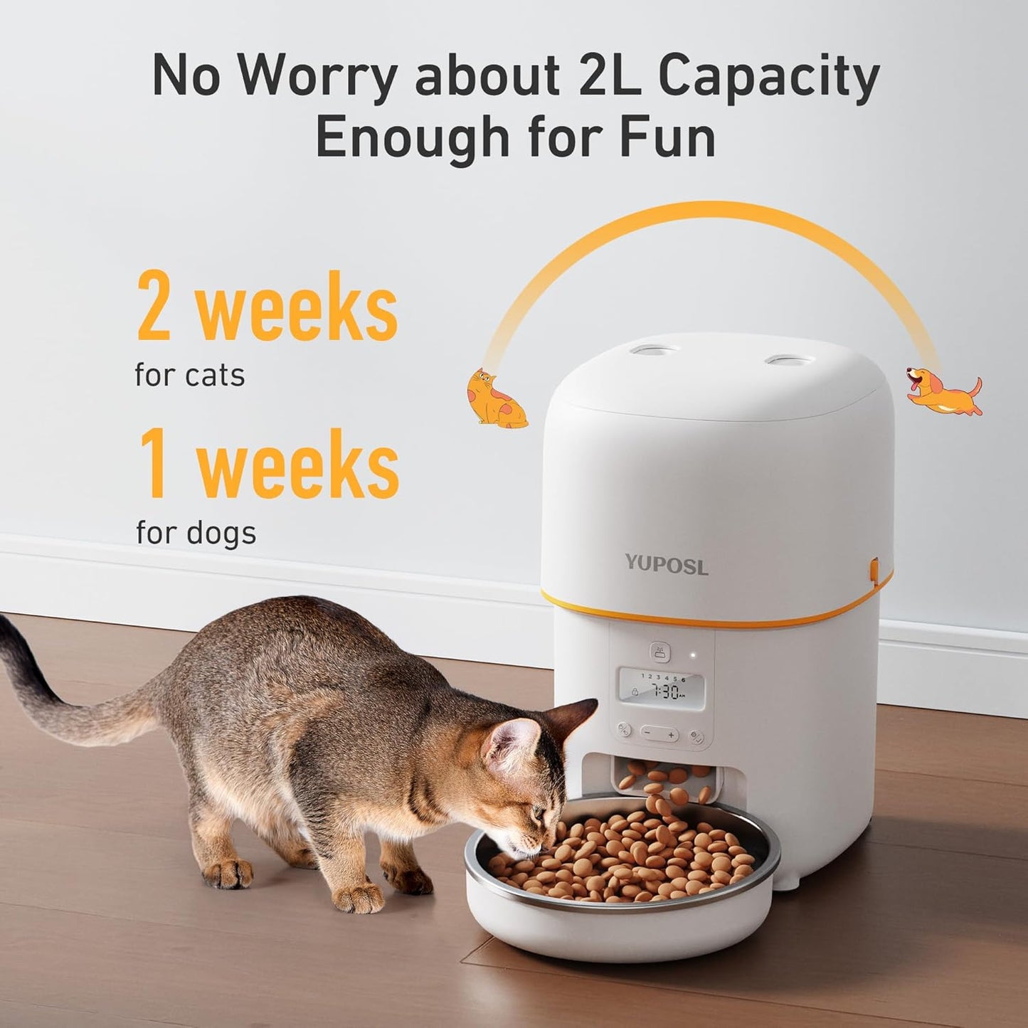 Automatic Cat Feeders - 2L Cat Food Dispenser Easy to Use, Timed Automatic Pet Feeder with Over 180-day Battery Life, 1-6 Meals Dry Food Programmable Portion Control Also for Dogs