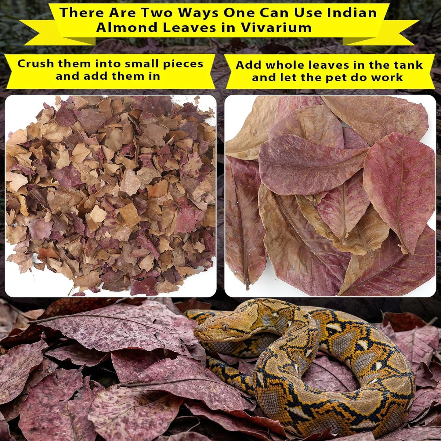 30PCS Premium Indian Almond Leaves - 9.8in Large Catappa Leaf for Snakes, Betta Fish, Shrimp, Aquarium - Release Natural Tannins, Water Softener, Bioactive Leaf Litter for Corn Snake, Ball Python