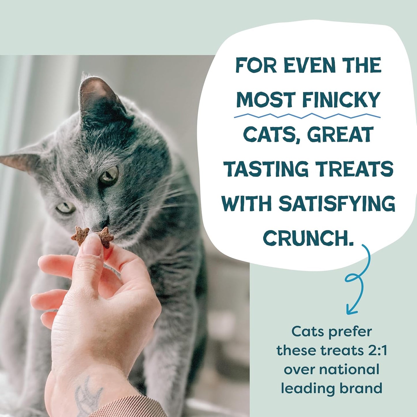 Shameless Pets Crunchy Cat Treats - Catnip Treats for Cats with Digestive Support, Kitten Treats with Real Ingredients, Natural & Healthy Flavored Feline Snacks - Fintastic Catnip, 1-Pk (Pack of 2)