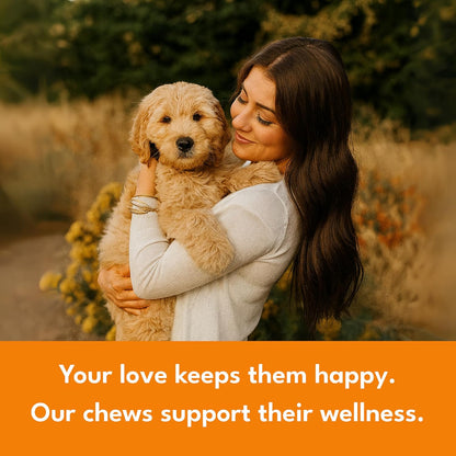 Multivitamin Chews for Dogs - Joint Support + Digestive Enzymes & Probiotics - Dog Multivitamins Chewable - Puppy & Senior Dog Vitamins - Daily Dog Multivitamin and Supplements-50 Soft Chews