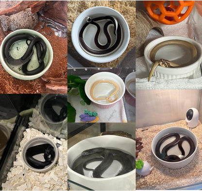 Snake Bathing Pool, Snake Water Bowl Dish, Reptile Soaking Dish,Reptile Terrarium Habitat Accessories for Snakes,Easy Cleaning,7.87''×7.87''×3'',Black