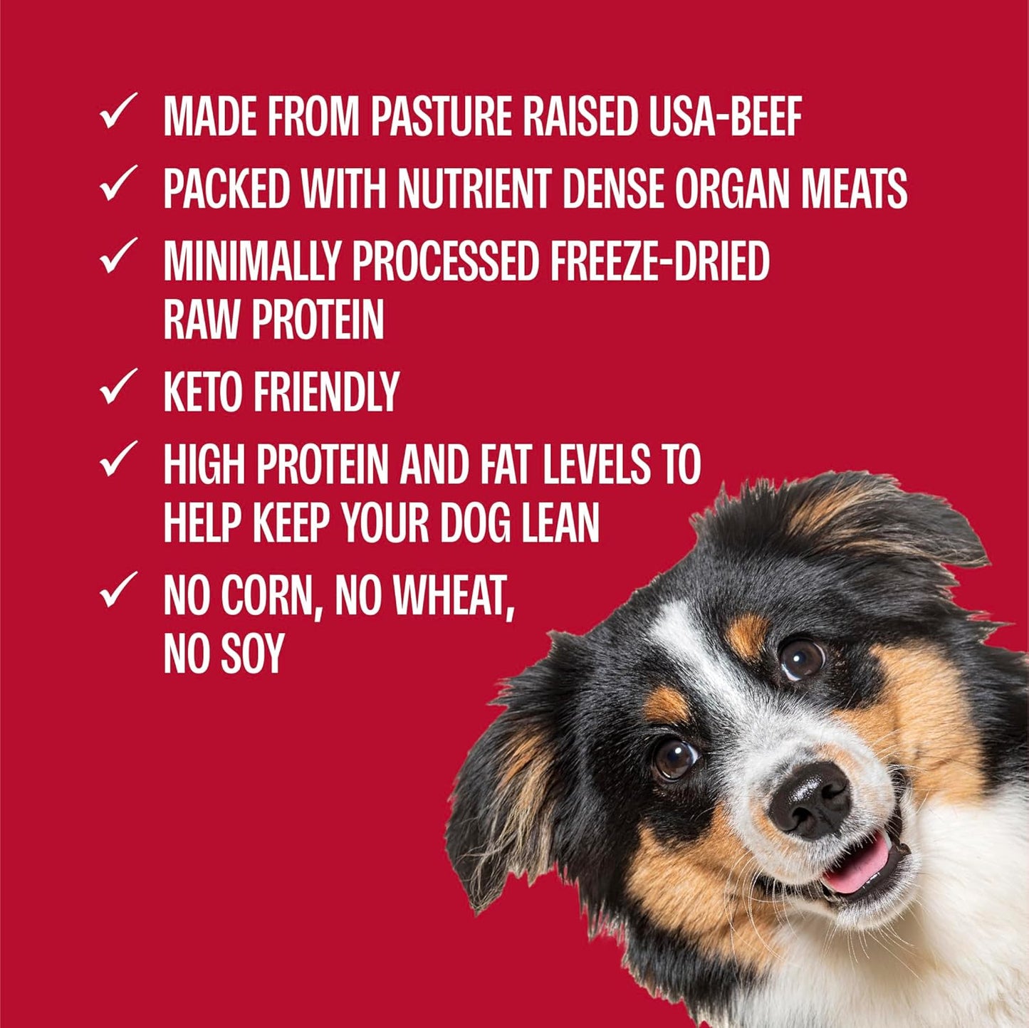 Muenster Freeze Dried Beef Bites - Complete Dog Food, Treat, Mixer or Topper (20oz) - Grain-Free