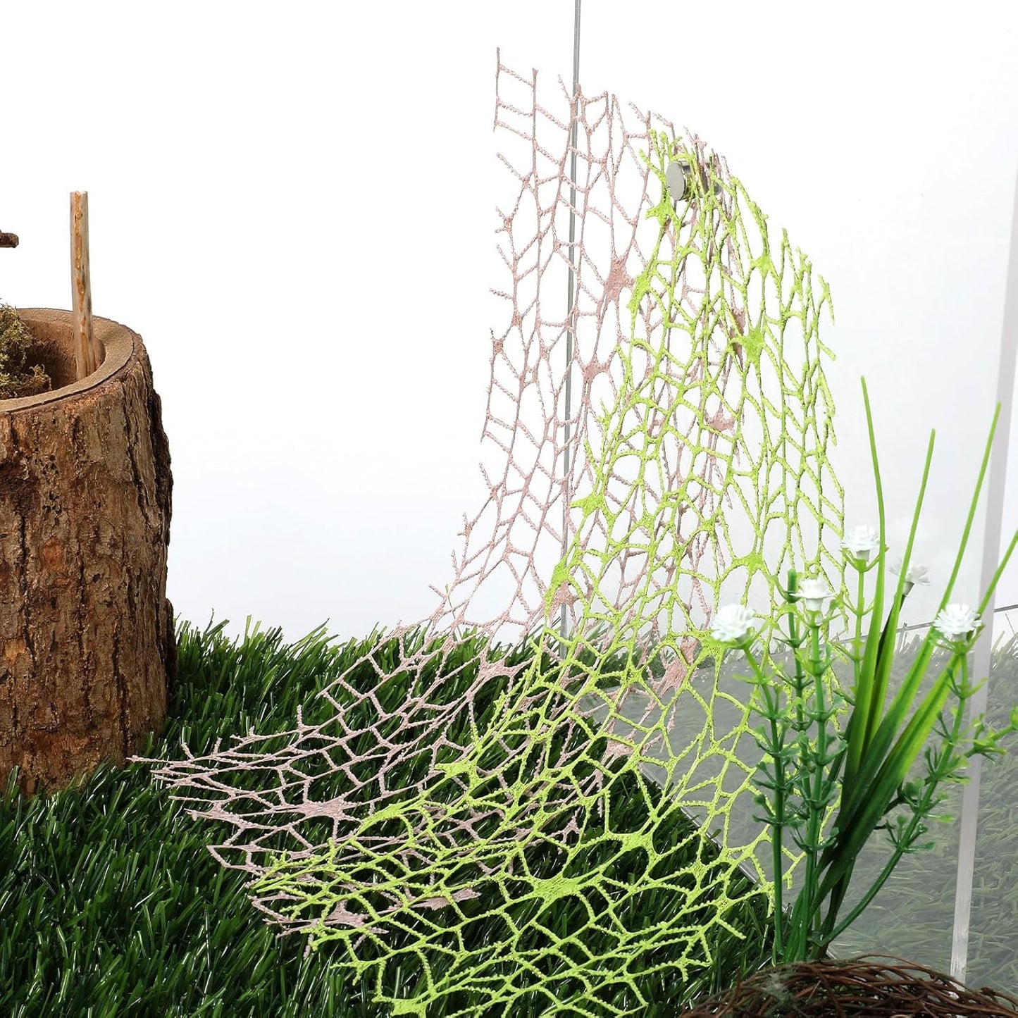 6Pcs Jumping Spider Habitat Accessories Enclosure Decor Spider Webbed Moss Ribbon with Magnets Climbing and Feeding Platforms Kit Green Brown